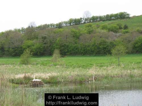 Lough Ardrea